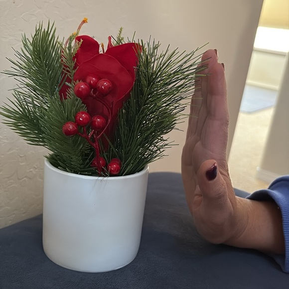 Threshold Christmas decor - Picture 4 of 5